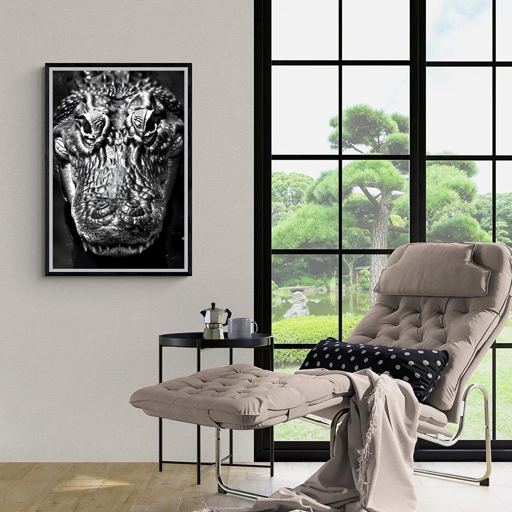 Crocodile dans un intérieur