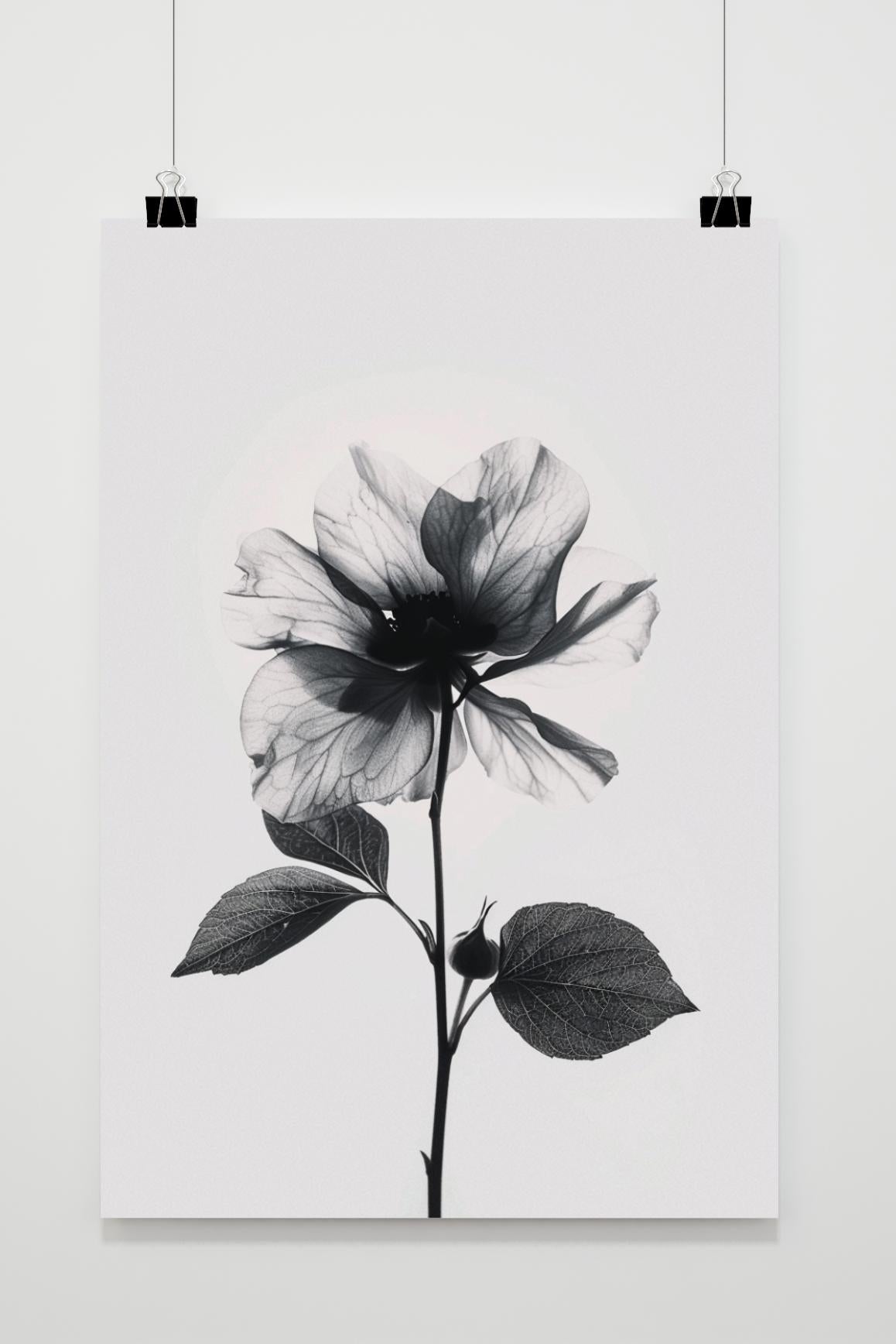 Affiche Fleur Noir et Blanc de 25 Artstreet