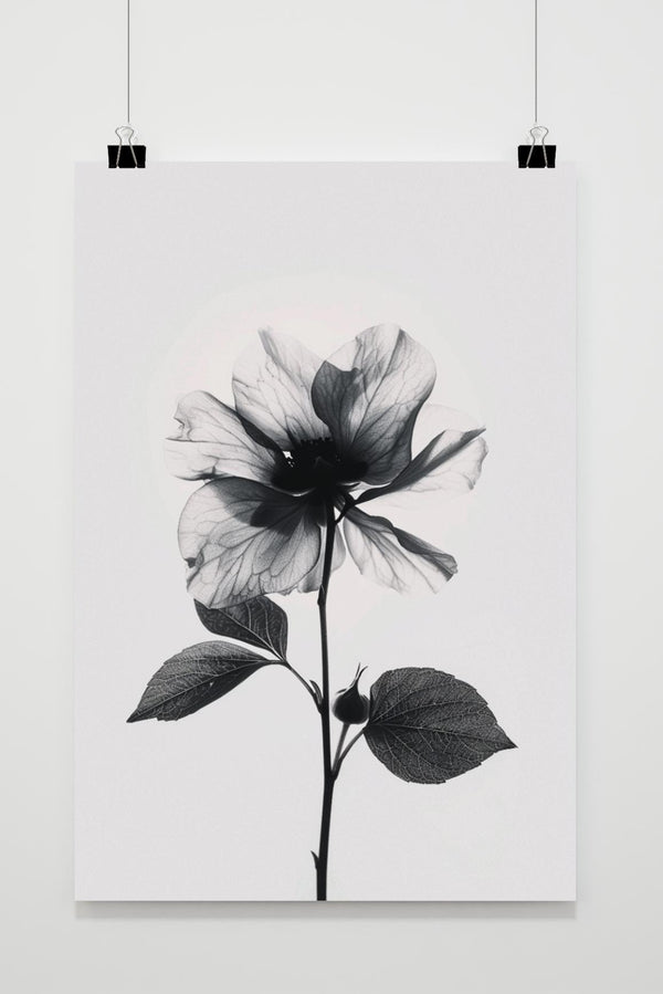 Black and White Flower poster