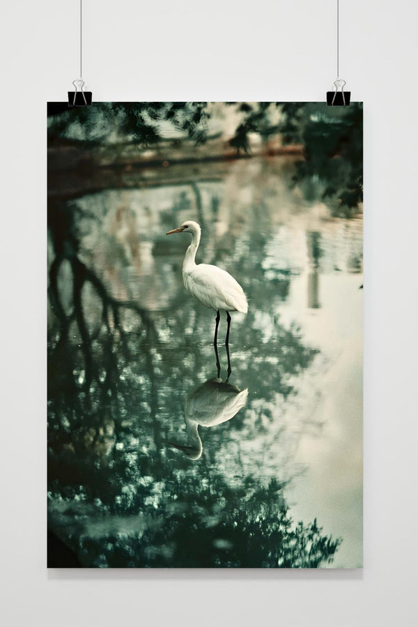 Póster Garza Ave en el Lago