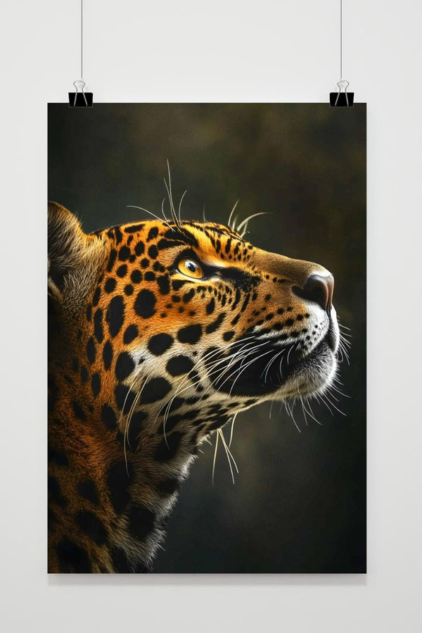 Jaguar Looking Up poster
