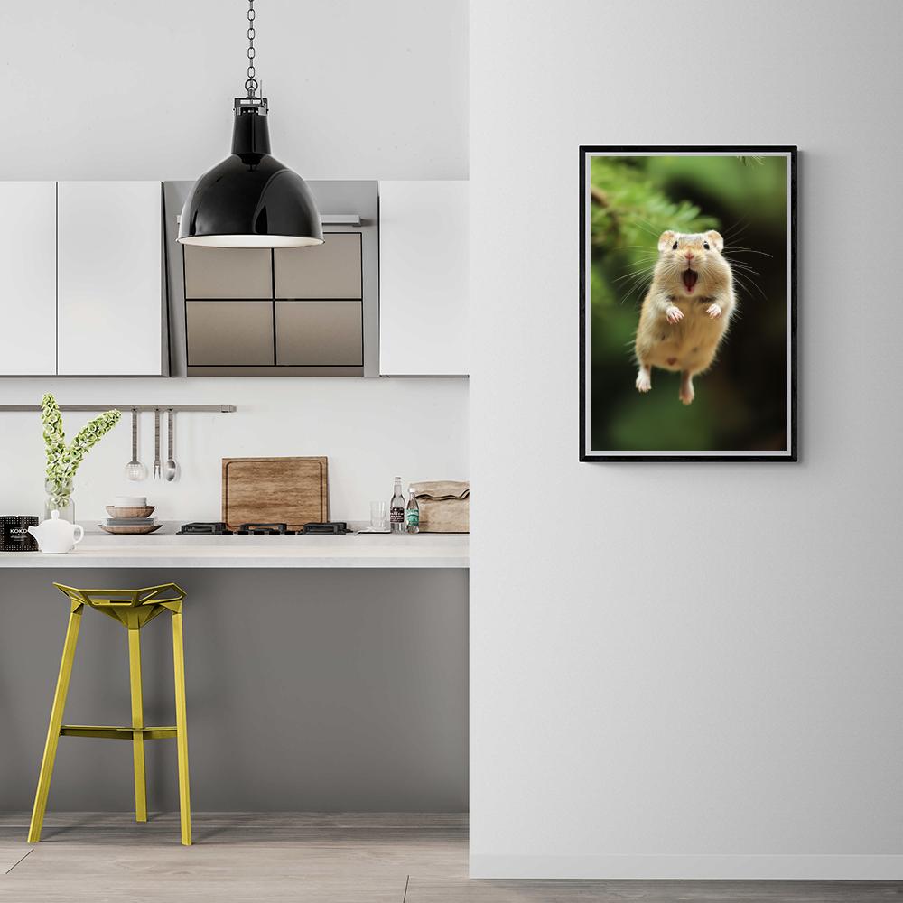 Souris Rigolote dans un intérieur