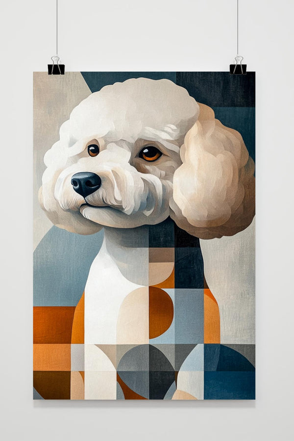 Bichon Frisé poster