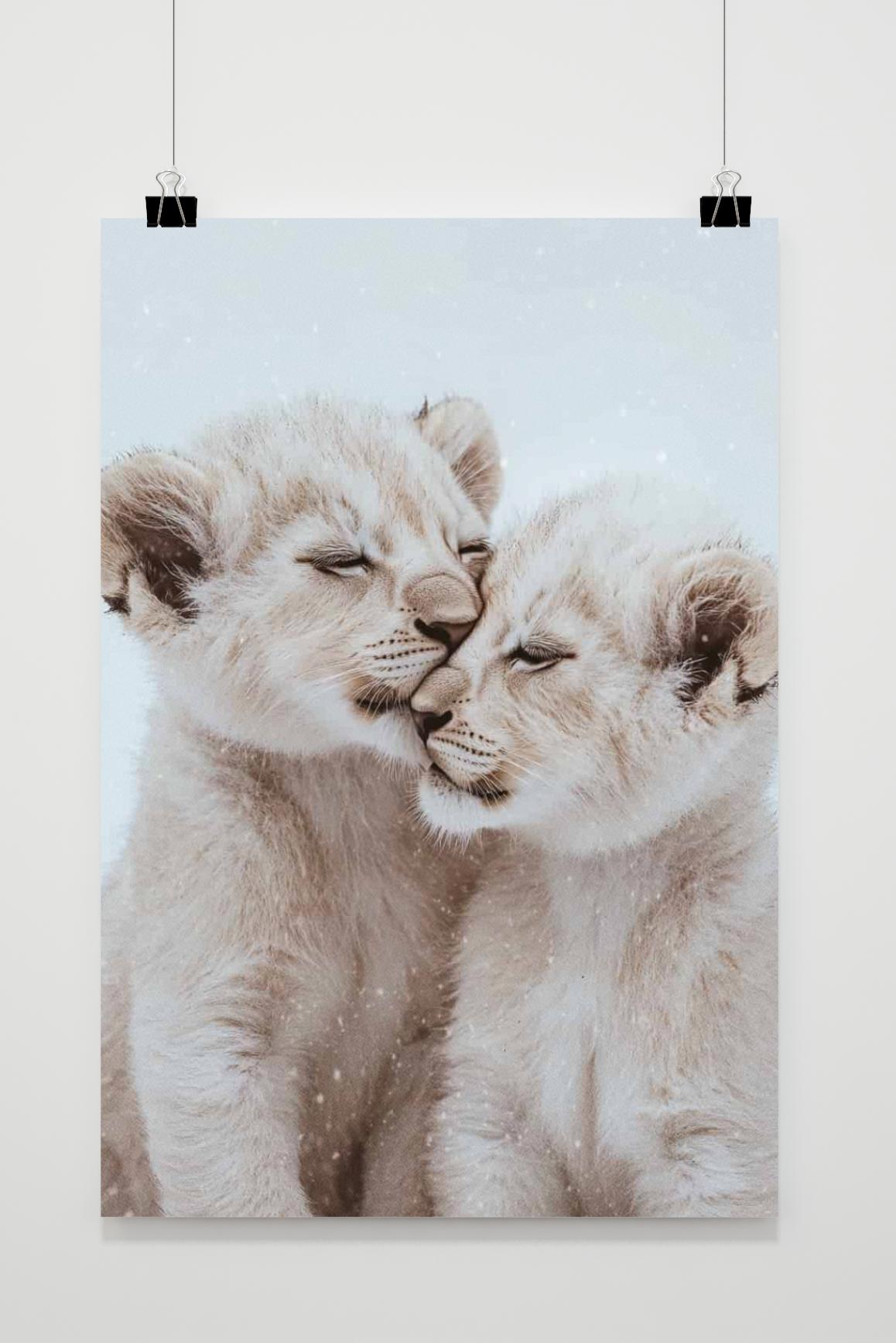 Affiche Chiots Blancs de 25 Artstreet