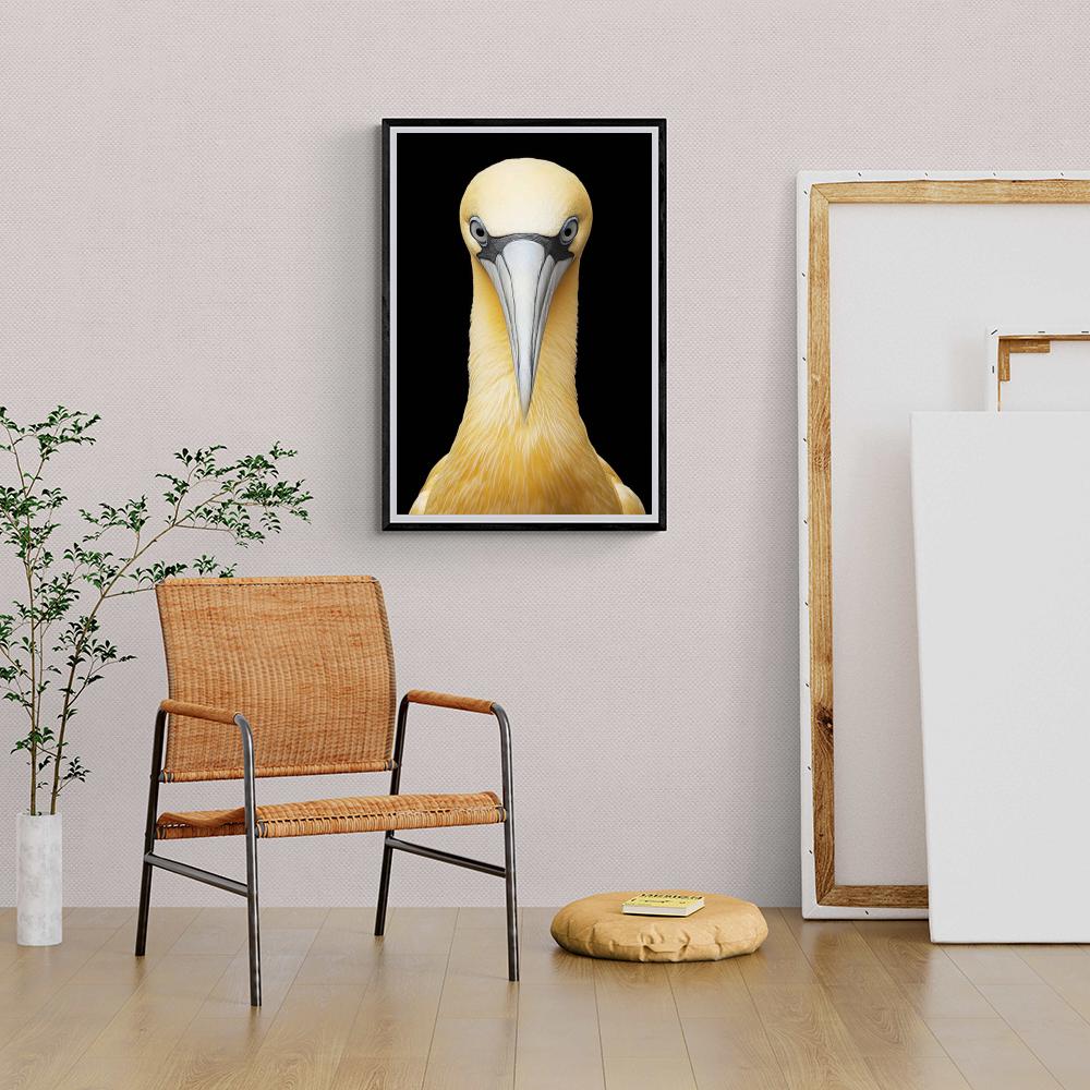 Fou de Bassan dans un intérieur