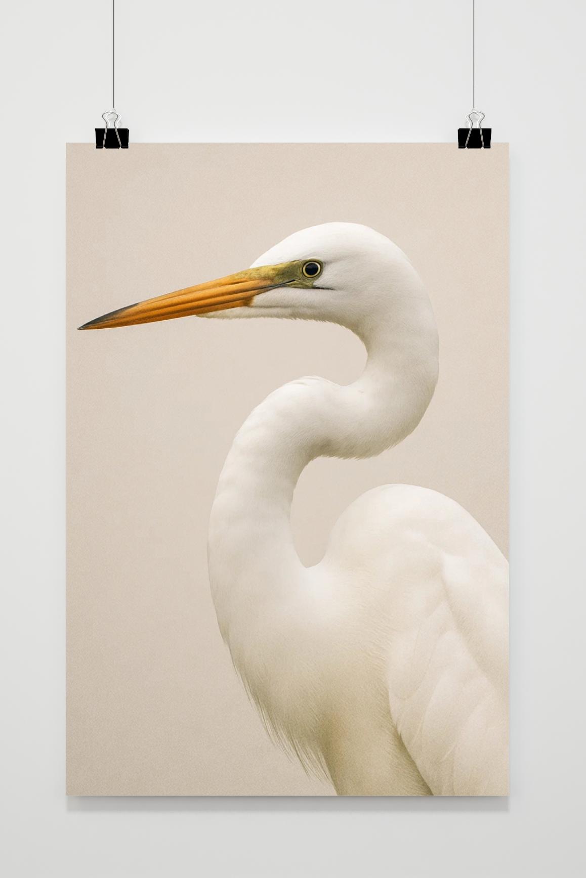 Egret Bird Heron in interieur
