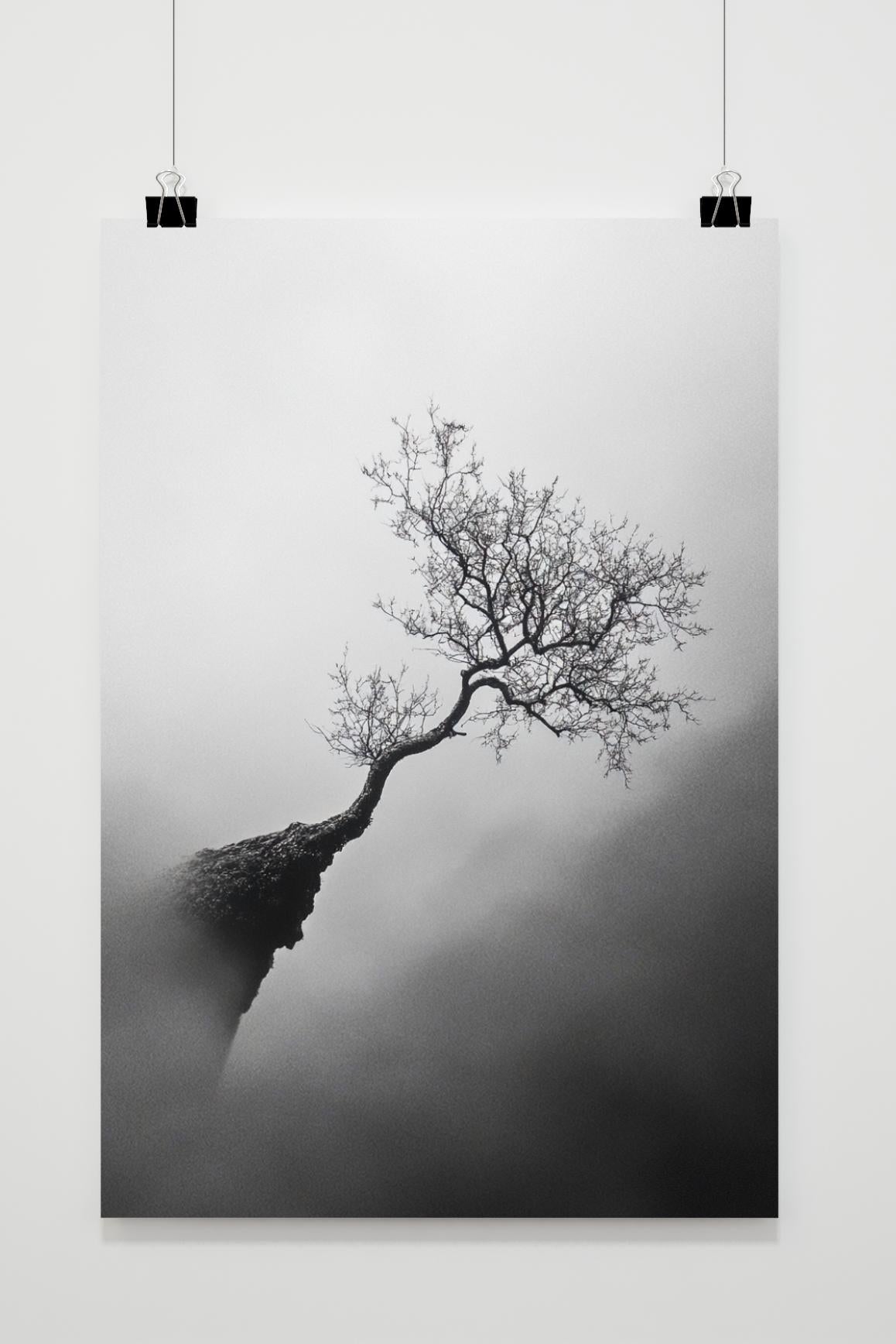 Affiche Arbre en Élévation de 25 Artstreet