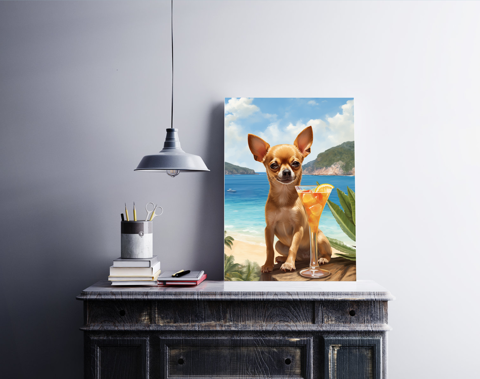 Strand-Chihuahua