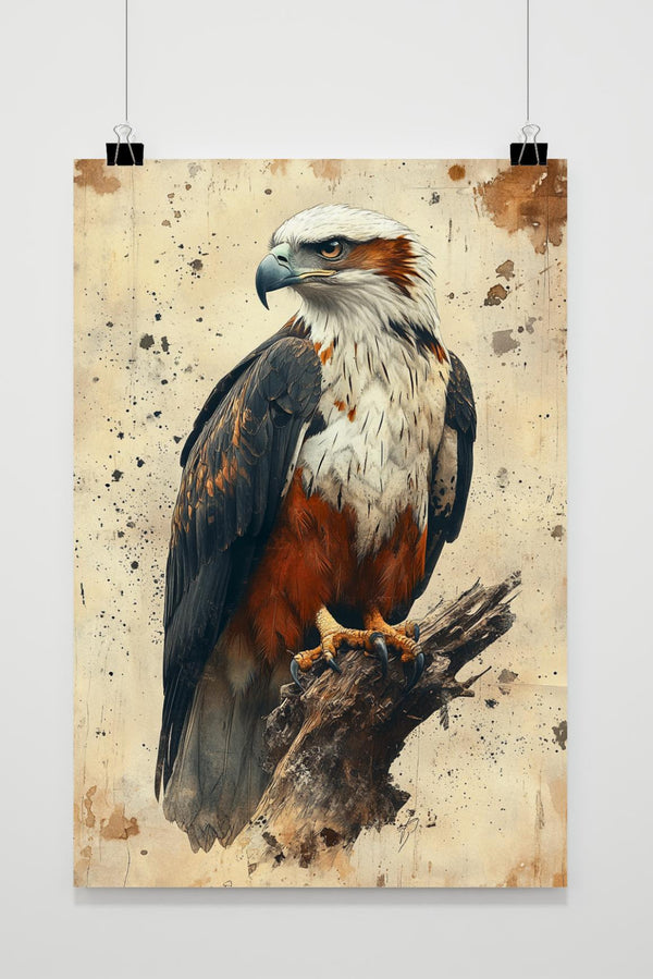Amerikaanse Adelaar poster
