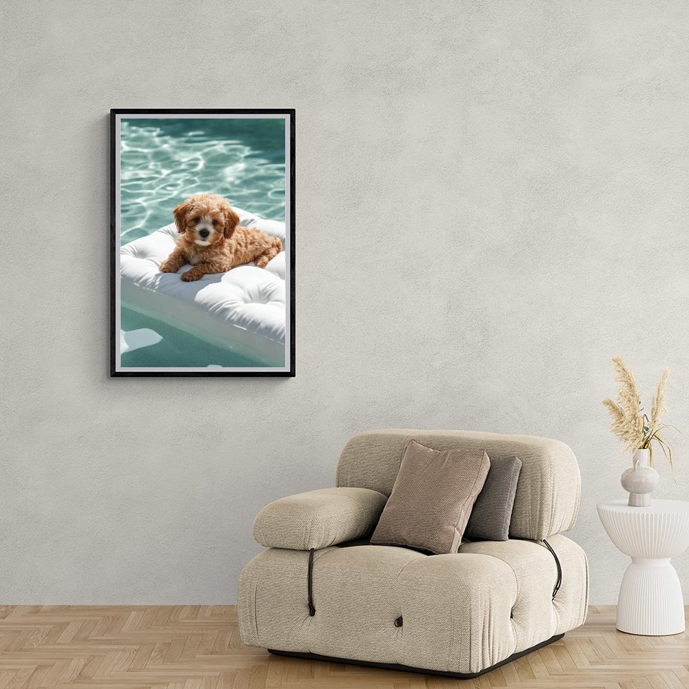 Cavapoo en un interior