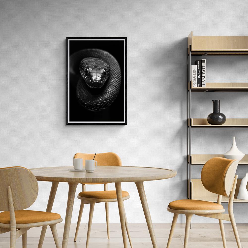 Serpiente en un interior