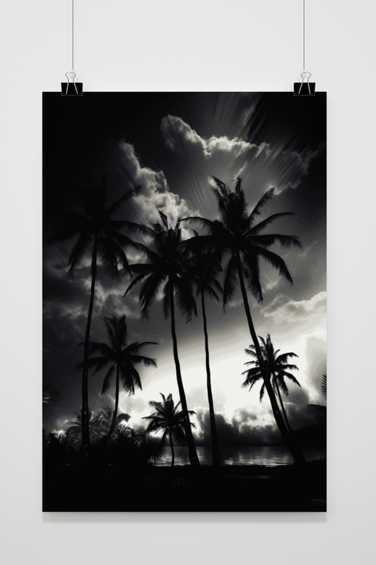 Black White Palm Trees