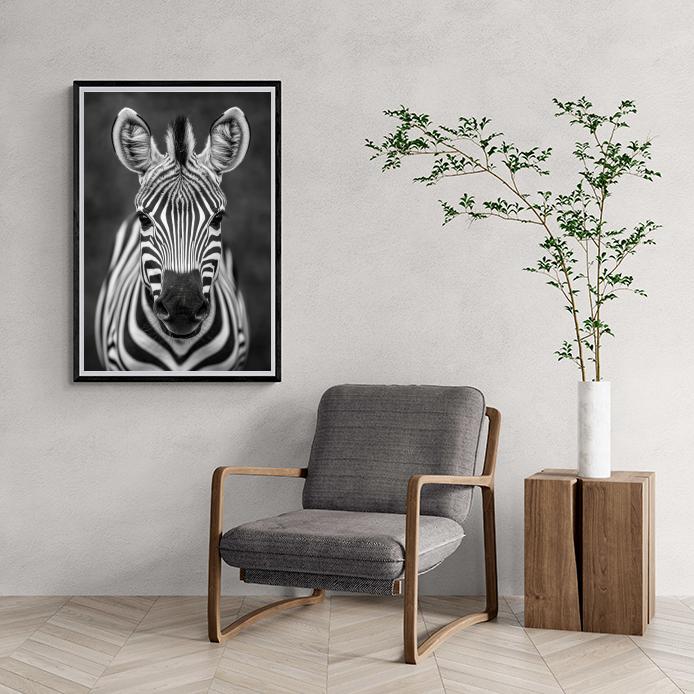 Zèbre Noir et Blanc dans un intérieur