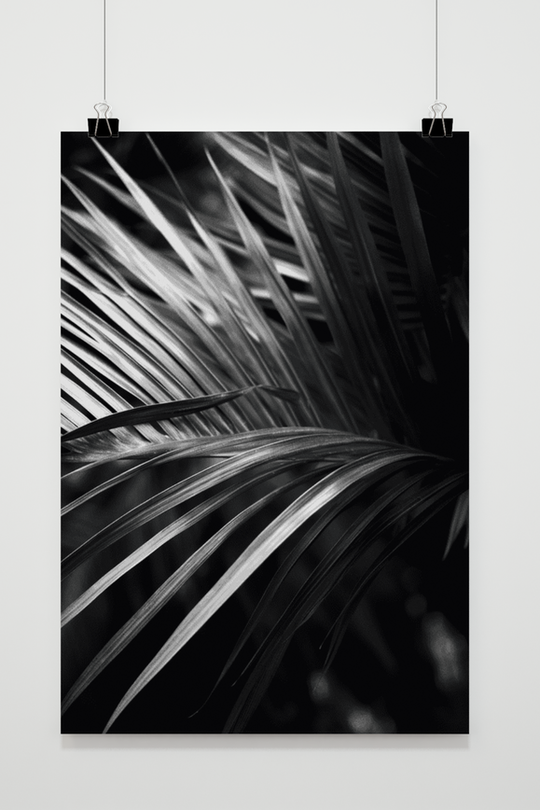 Palmblad Zwart Wit