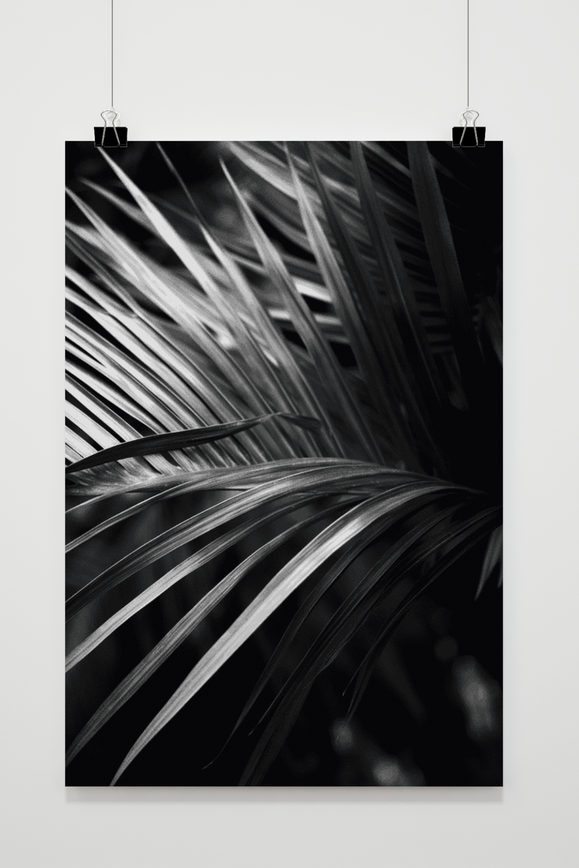 Palm Leaf Black White