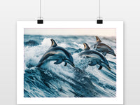 Dolphins Waves poster met witte rand