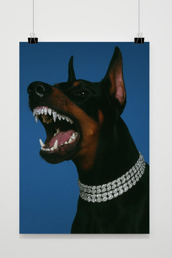 Doberman Diamonds Necklace Collar Grillz poster