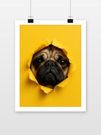 Pug Dog poster met witte rand