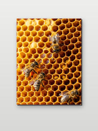 Bee Beehive Honey op aluminium dibond