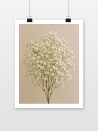 Baby's Breath Flowers in an interior (7)