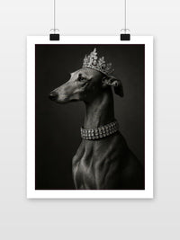 Greyhound Dog Crown Black White in an interior (7)