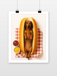 Dachshund Dog Sausage im Interieur (7)