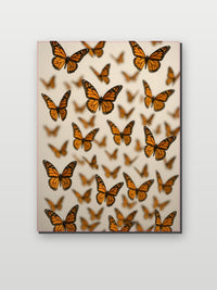 Butterflies op aluminium dibond