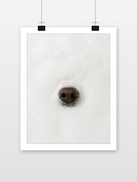 Dog Nose Bubbles im Interieur (7)