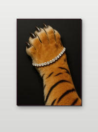 Tiger Jewelry Diamonds en un interior (6)
