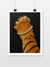 Tiger Jewelry Diamonds en un interior (7)