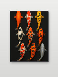 Koi Fishes im Interieur (6)