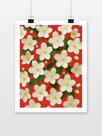 Jasmine Flowers poster met witte rand