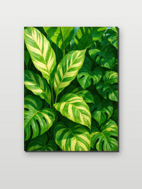 Calathea Plant Leaves im Interieur (6)