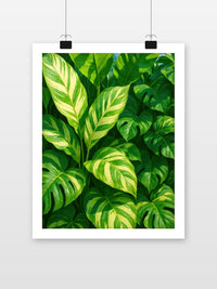 Calathea Plant Leaves im Interieur (7)