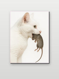 Cat Maus im Interieur (6)