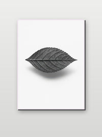 Leaf Minimalist B&amp;W in an interior (6)