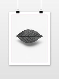 Leaf Minimalist B&amp;W in an interior (7)