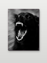 Black Dog Teeth Zwart-Wit op aluminium dibond