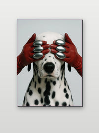 Dalmatian Dog Gloves Hide and Seek im Interieur (6)