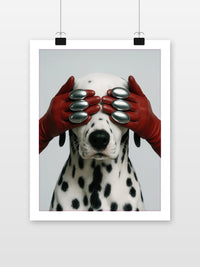 Dalmatian Dog Gloves Hide and Seek im Interieur (7)