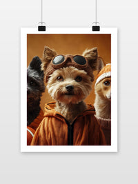 Yorkshire Terrier Dogs Fashion im Interieur (7)