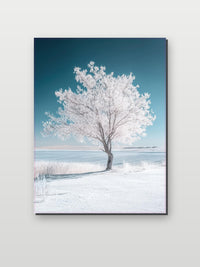 White Tree Winter Nature Snow dans un intérieur (6)