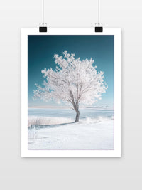 White Tree Winter Nature Snow dans un intérieur (7)