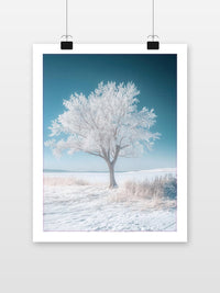 White Tree Snow Landscape dans un intérieur (7)