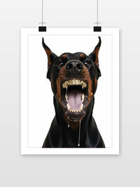 Doberman Dog Grillz Gold Drool poster met witte rand