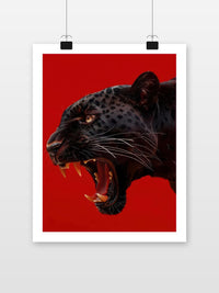 Black Panther Red Background Growl poster met witte rand