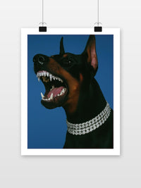 Doberman Diamonds Necklace Collar Grillz poster met witte rand