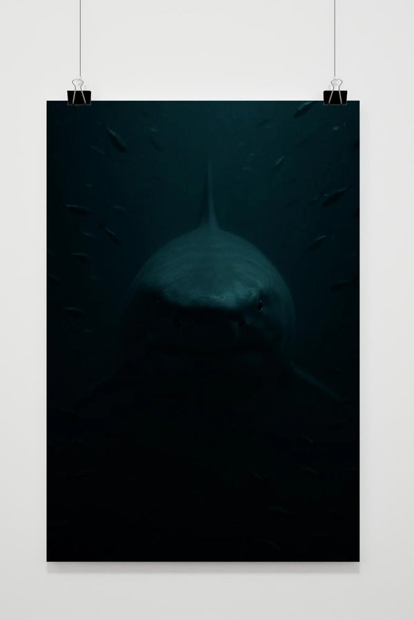 Shark Poster