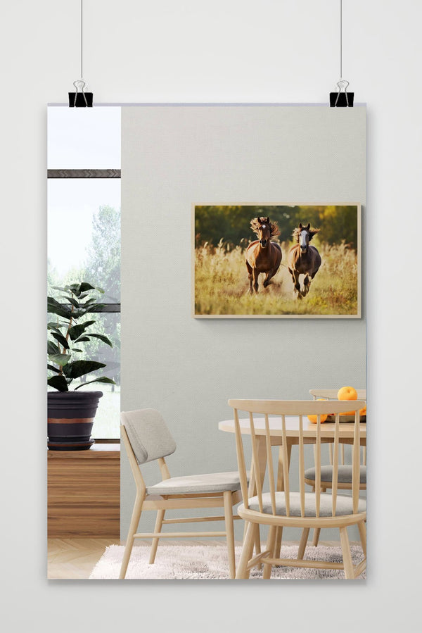 Póster Caballos al Galope