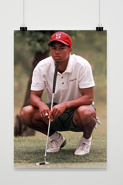 Póster Tiger Woods Golf College